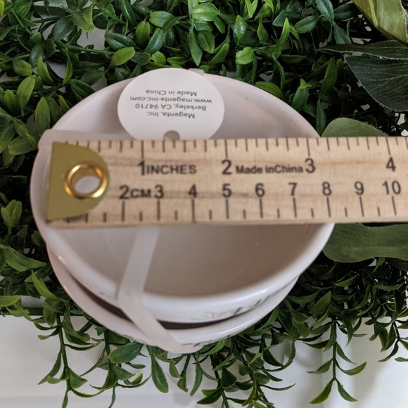 Rae Dunn Set of 2 round ceramic Mini Herbs Season bowls - Picture 2 of 2